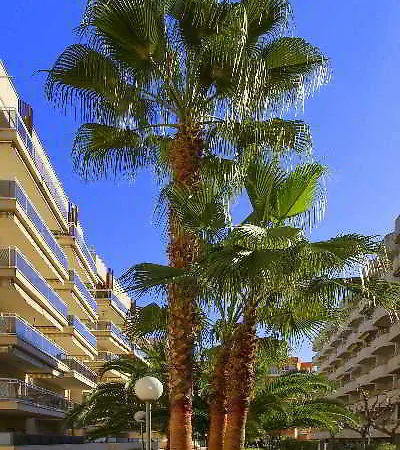 Ventura Park 4*