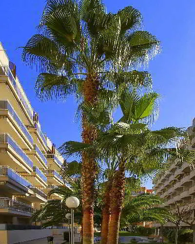 Ventura Park 4*